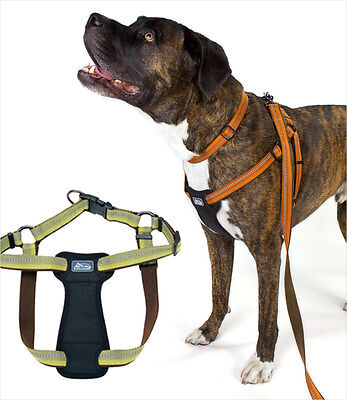 k9 explorer dog harness