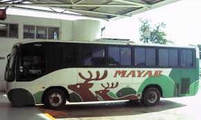 mayab bus