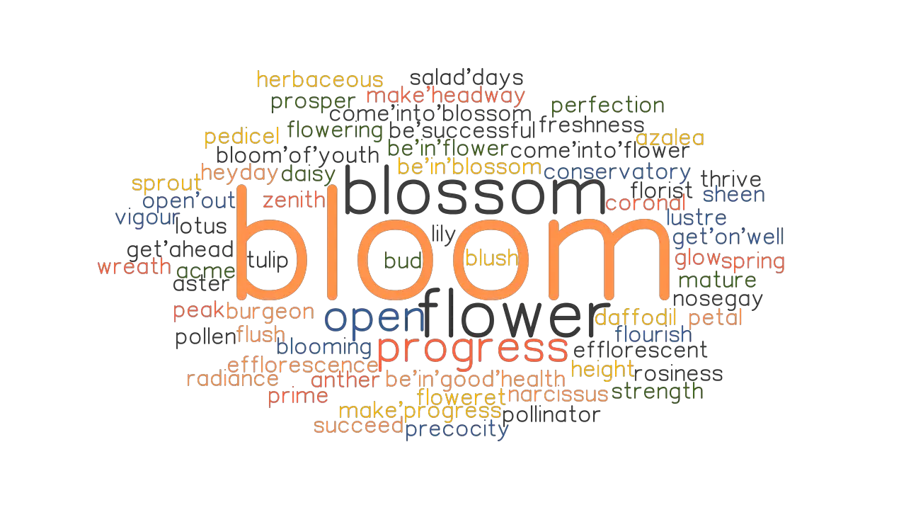 blossom synonym