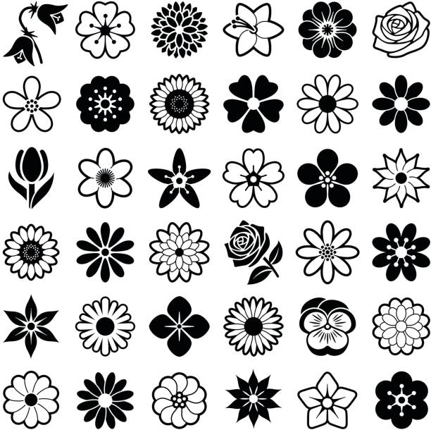 flower design clipart hd