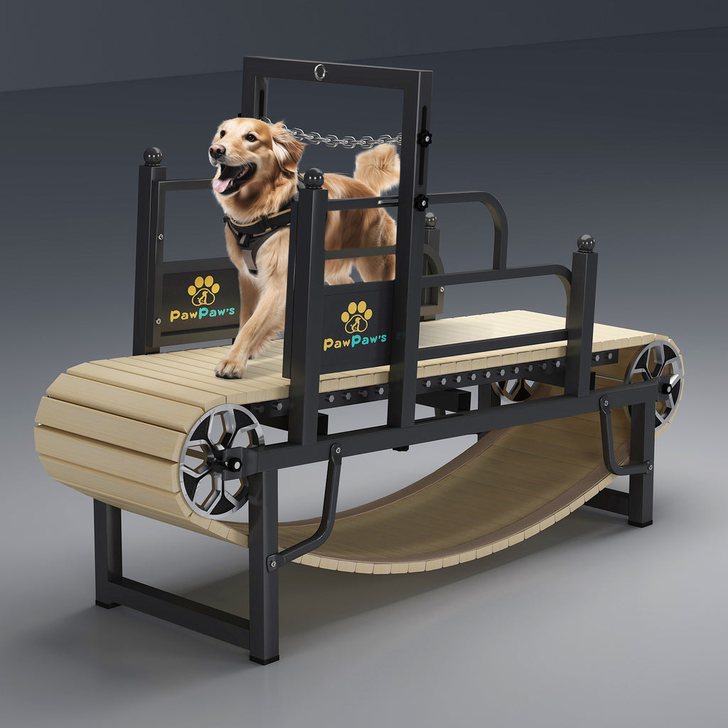 self propelled dog treadmill canada