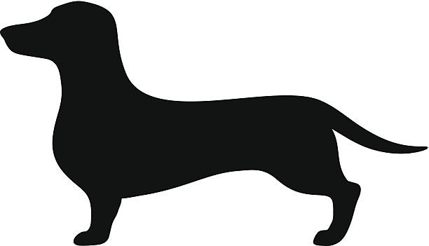 dachshund clipart