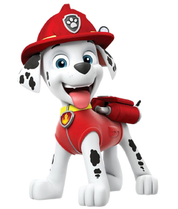 dalmatian paw patrol