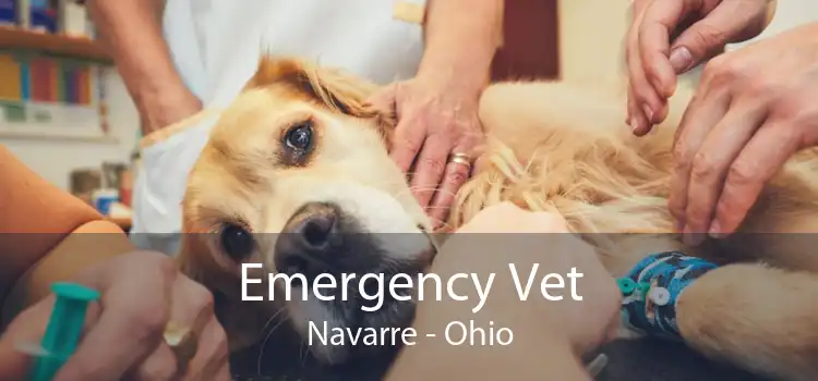 veterinarian navarre ohio