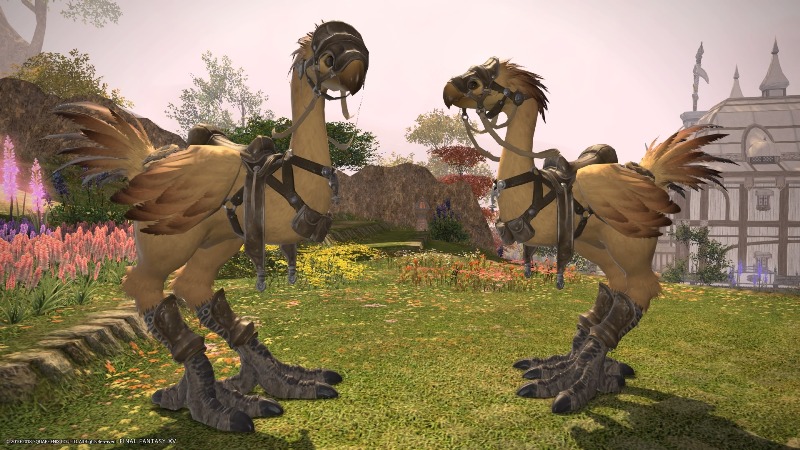 final fantasy 14 chocobo