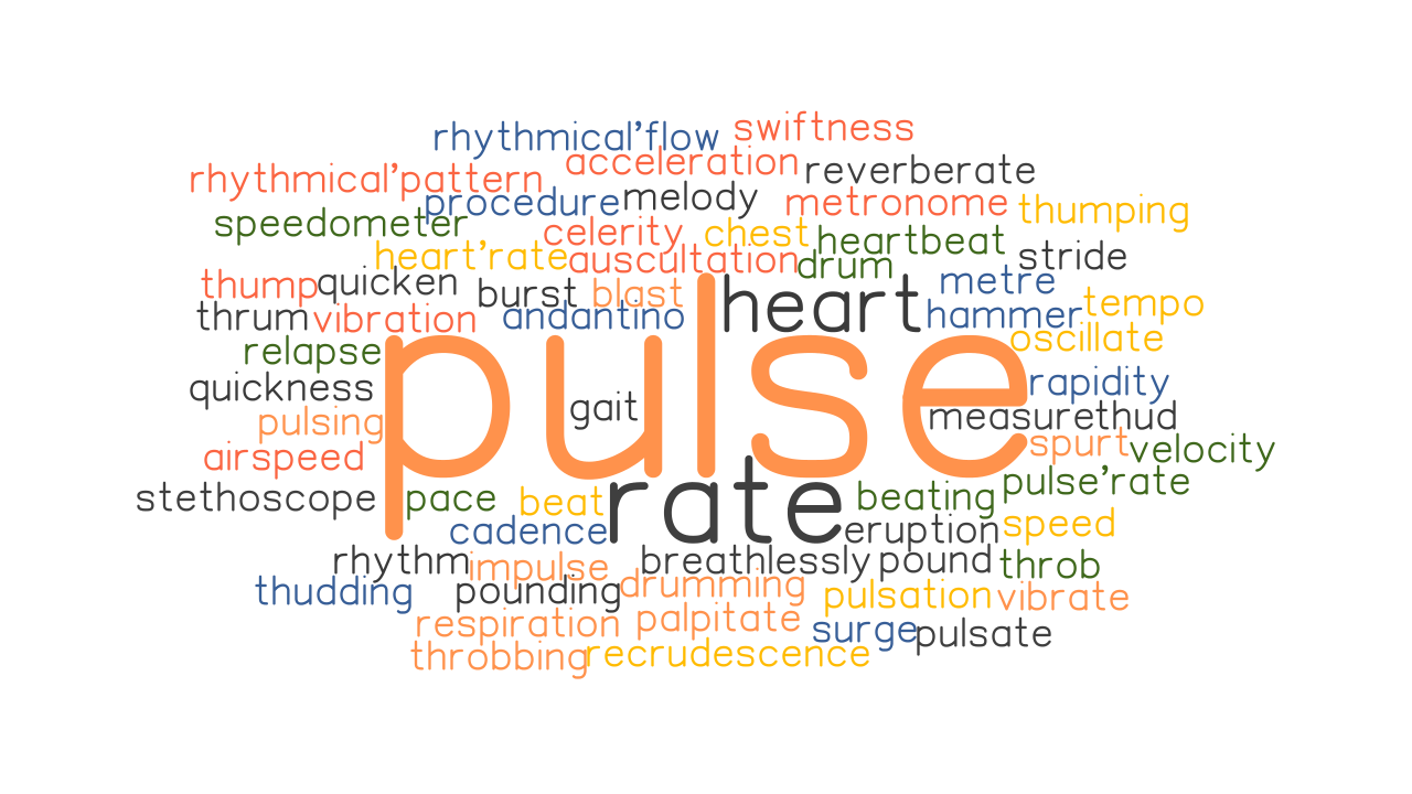 pulse thesaurus