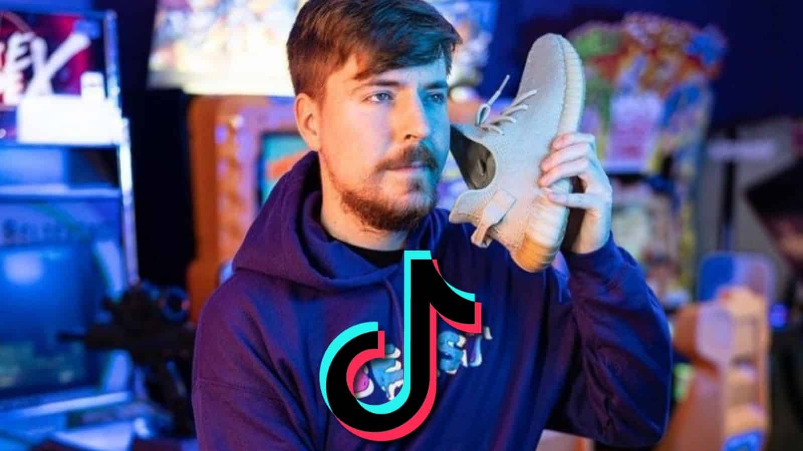 mr beast tik tok