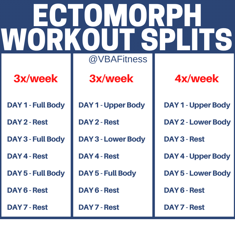 ectomorph diet and workout plan