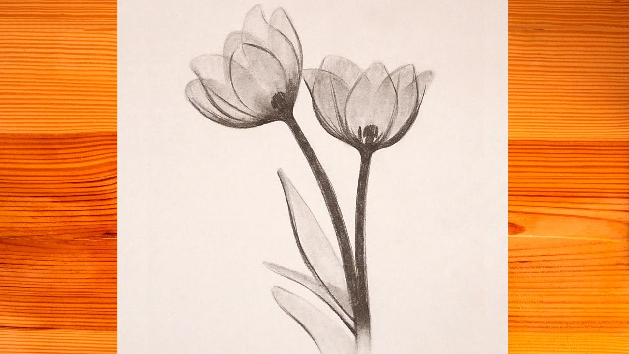 dibujos de flores en lápiz