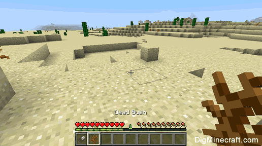 dead bush minecraft