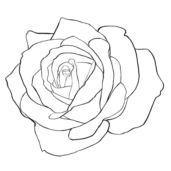 rose outline simple