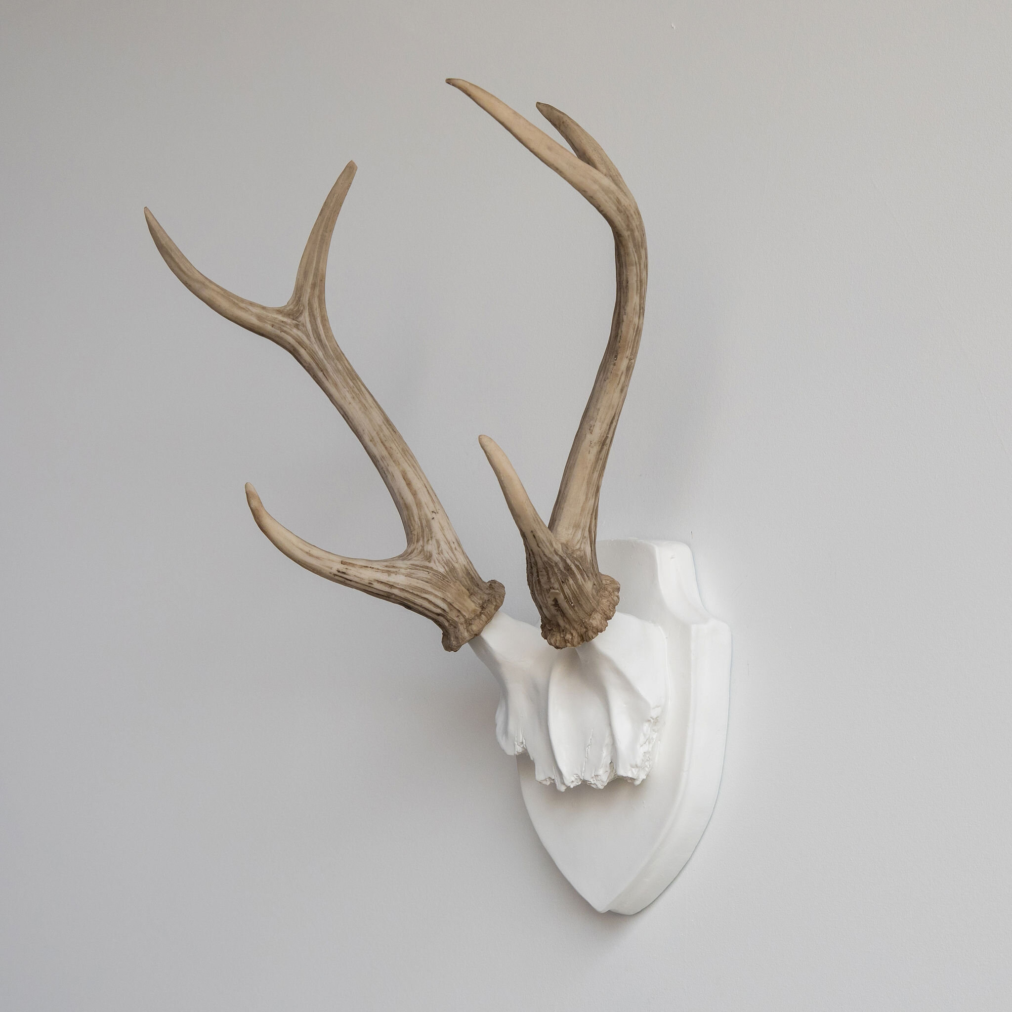 decorative antlers