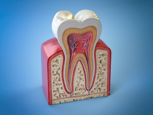 dental root canals treatment maple ridge