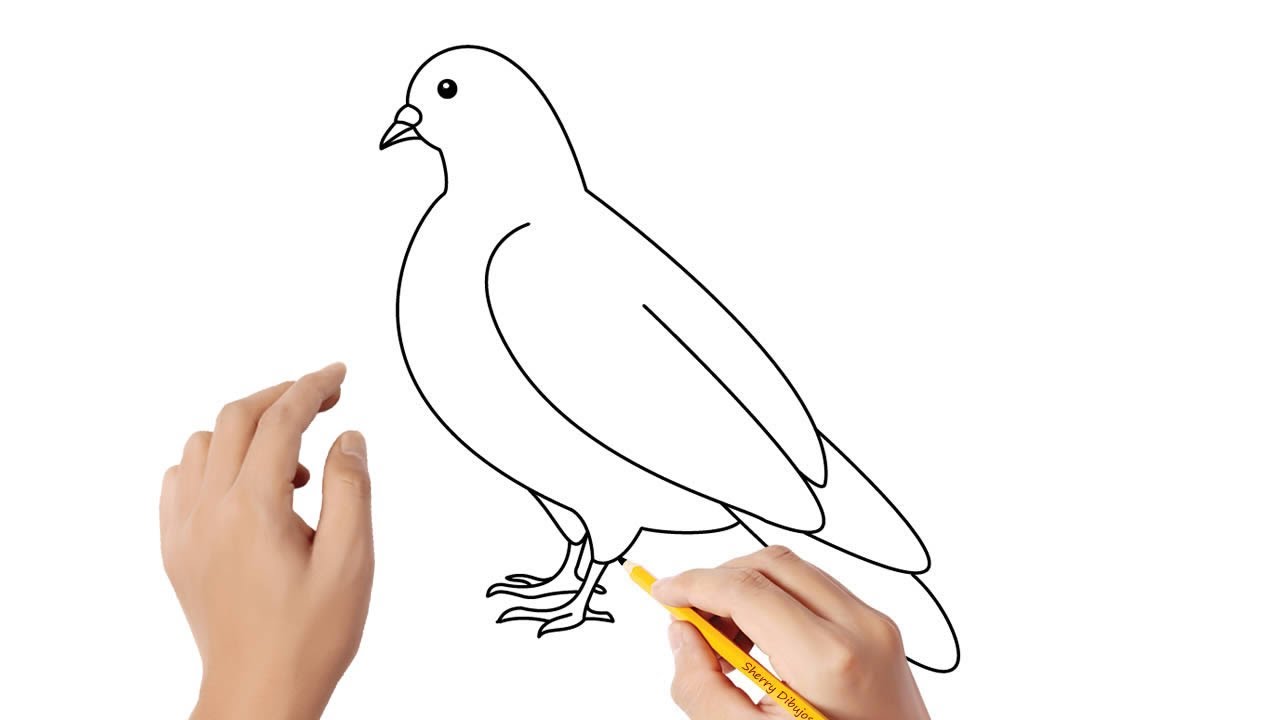 dibujos de palomas fáciles