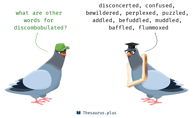 discombobulated synonym