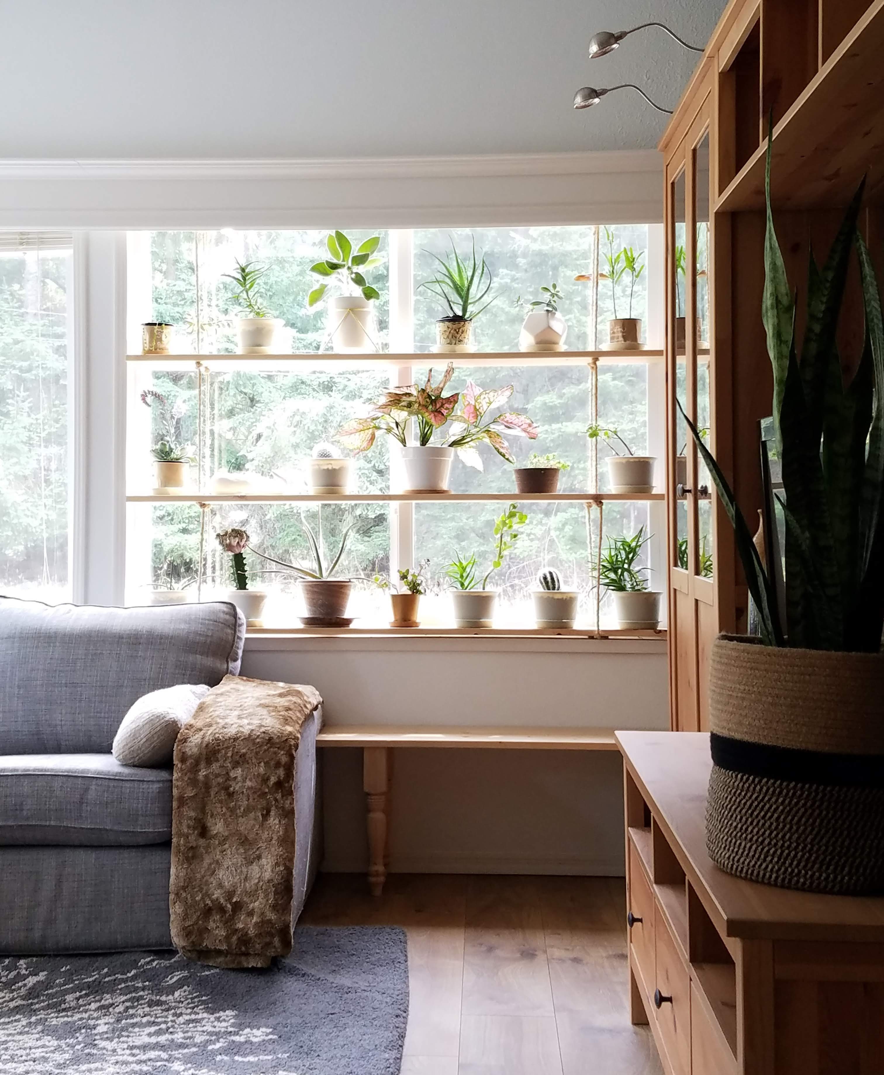 diy window plant shelf