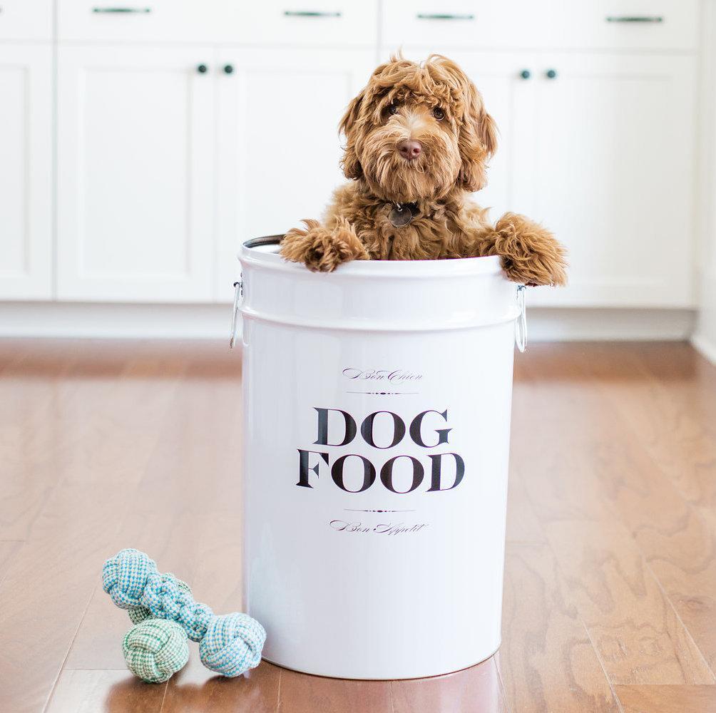 dog food large container