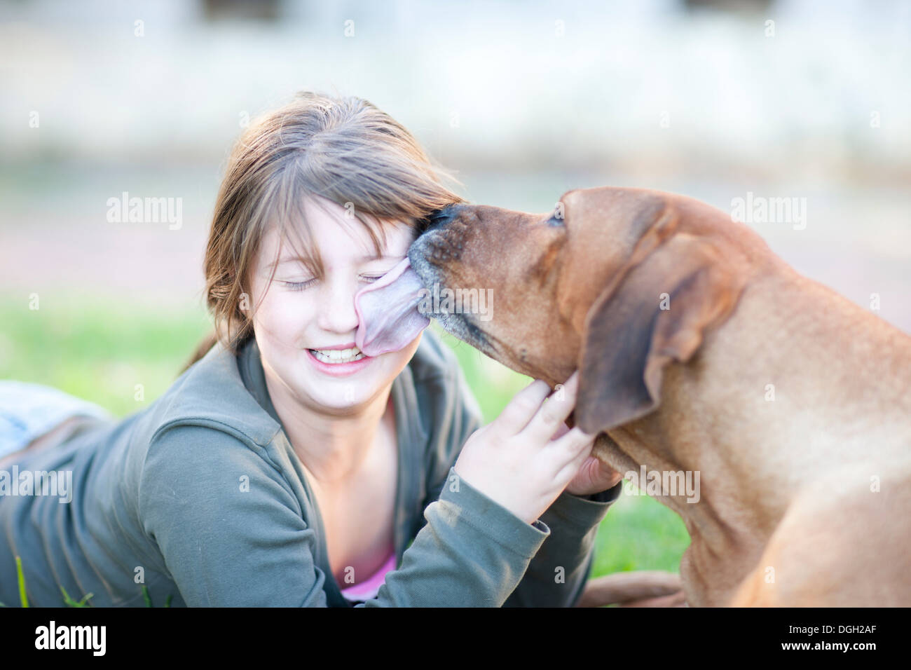 dogs licking teens