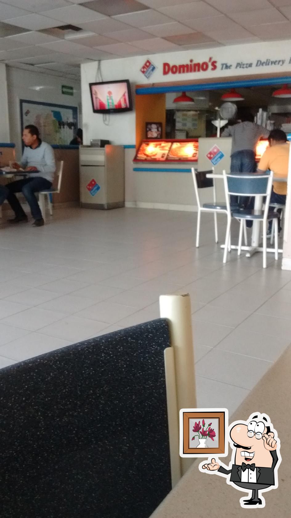 dominos pizza san francisco del rincón