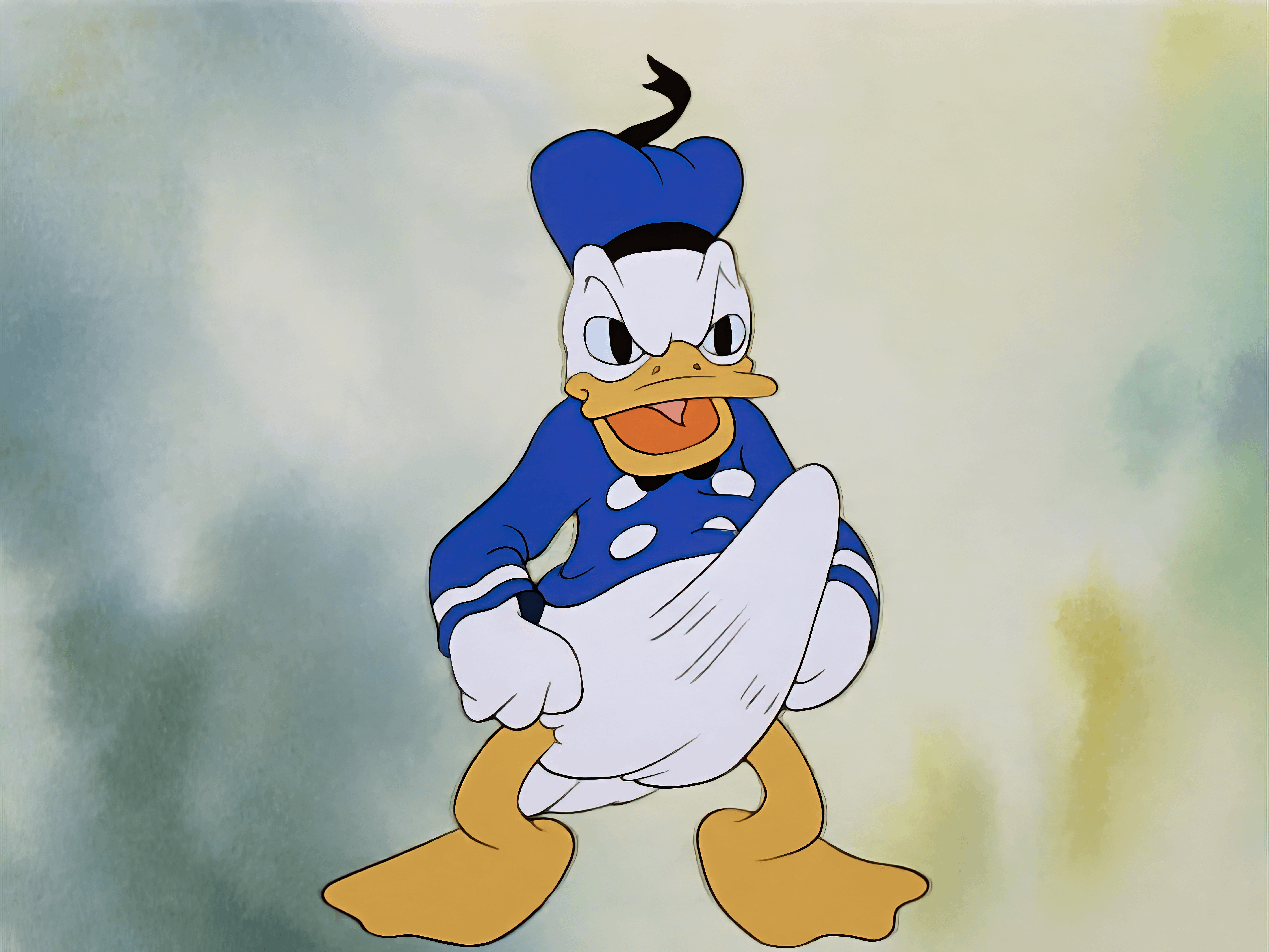 donald duck boner