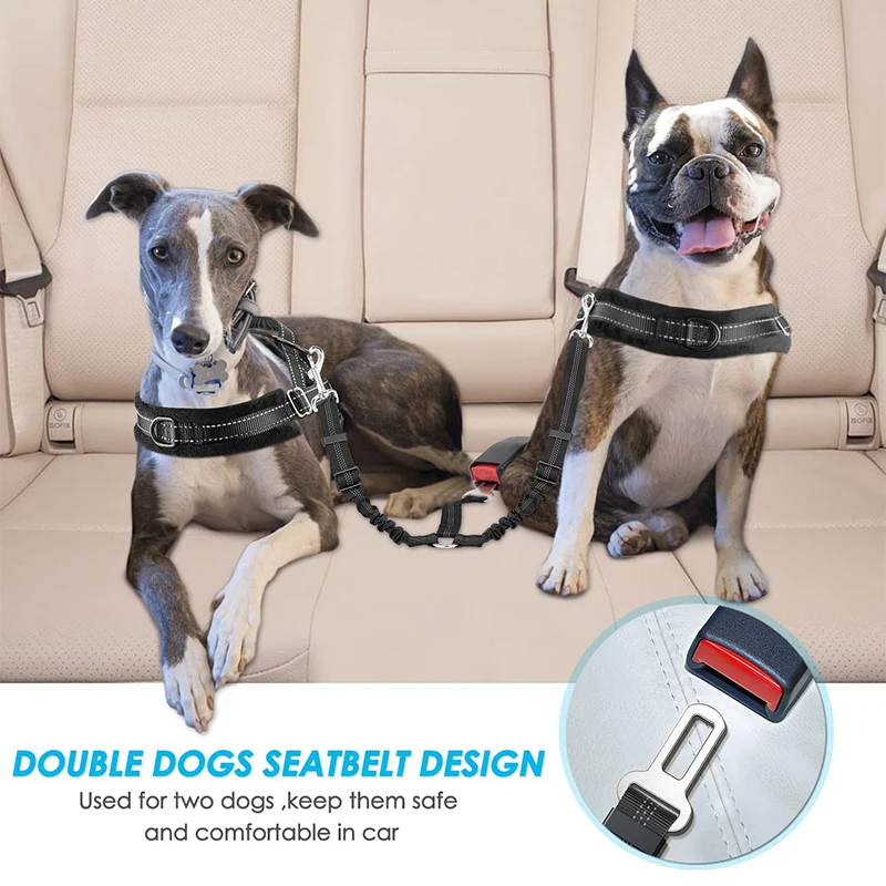 double dog seat belt