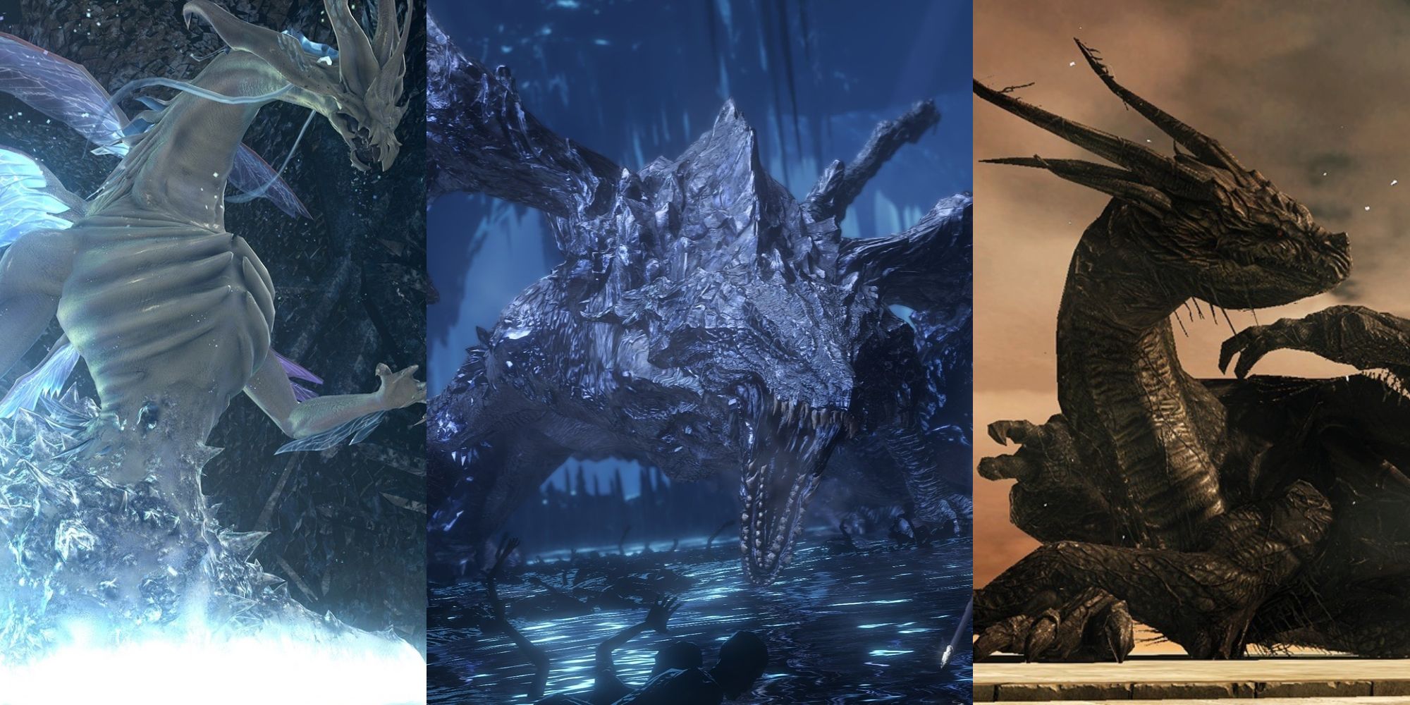 dragons in dark souls