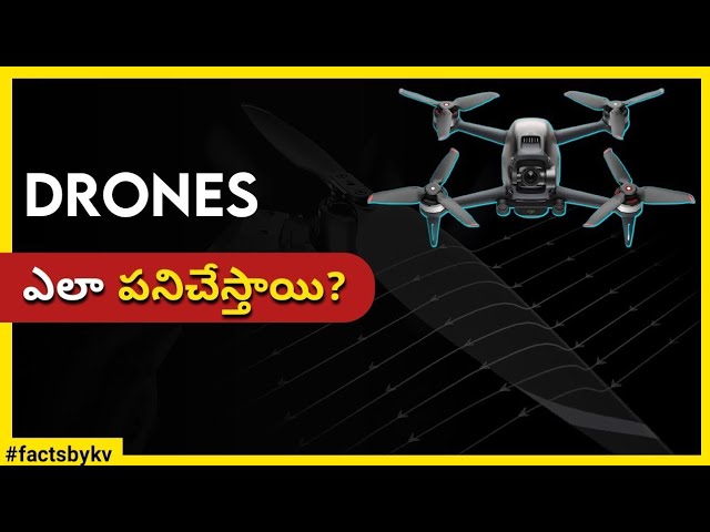 drone meaning in telugu