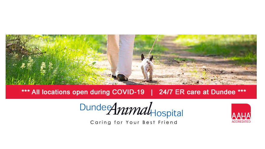 dundee animal hospital algonquin