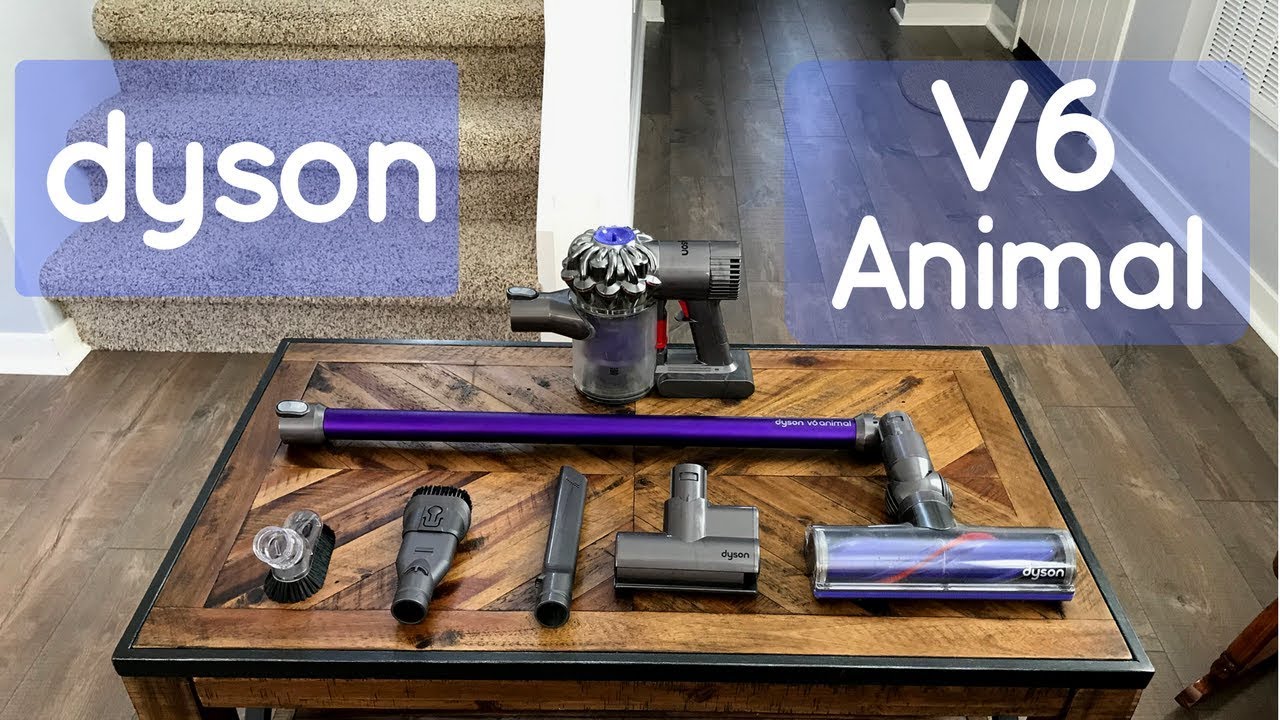 dyson v6 animal