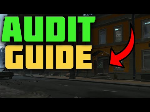 tarkov audit