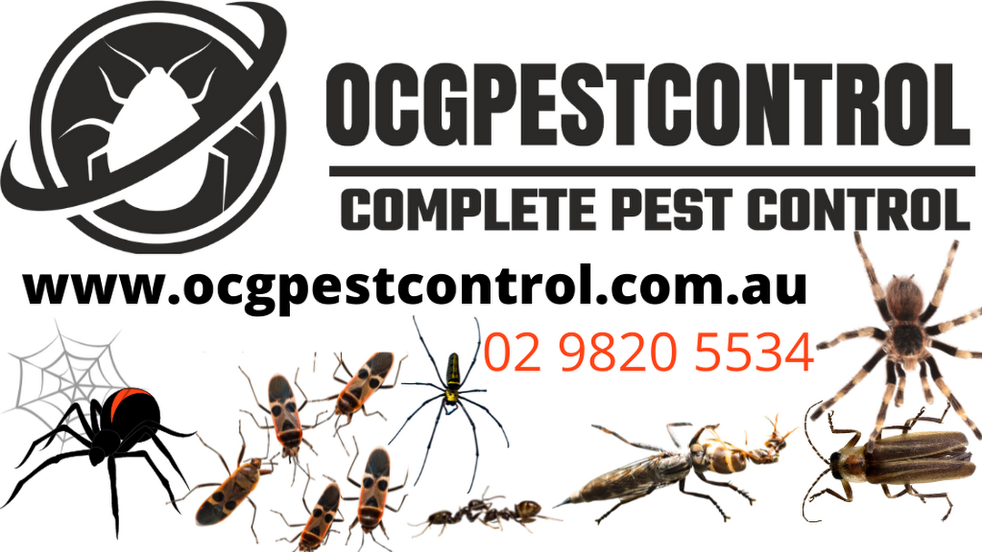 ocg pest control