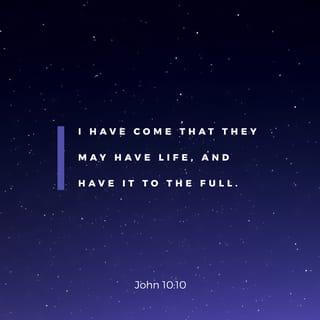 john 10 10 nkjv