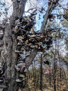 shoe tree kalkaska