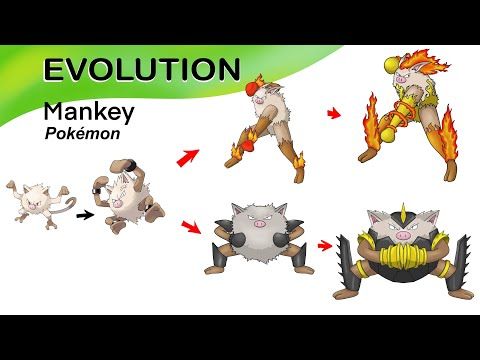 evolving mankey