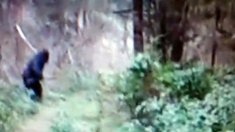 bigfoot sightings youtube