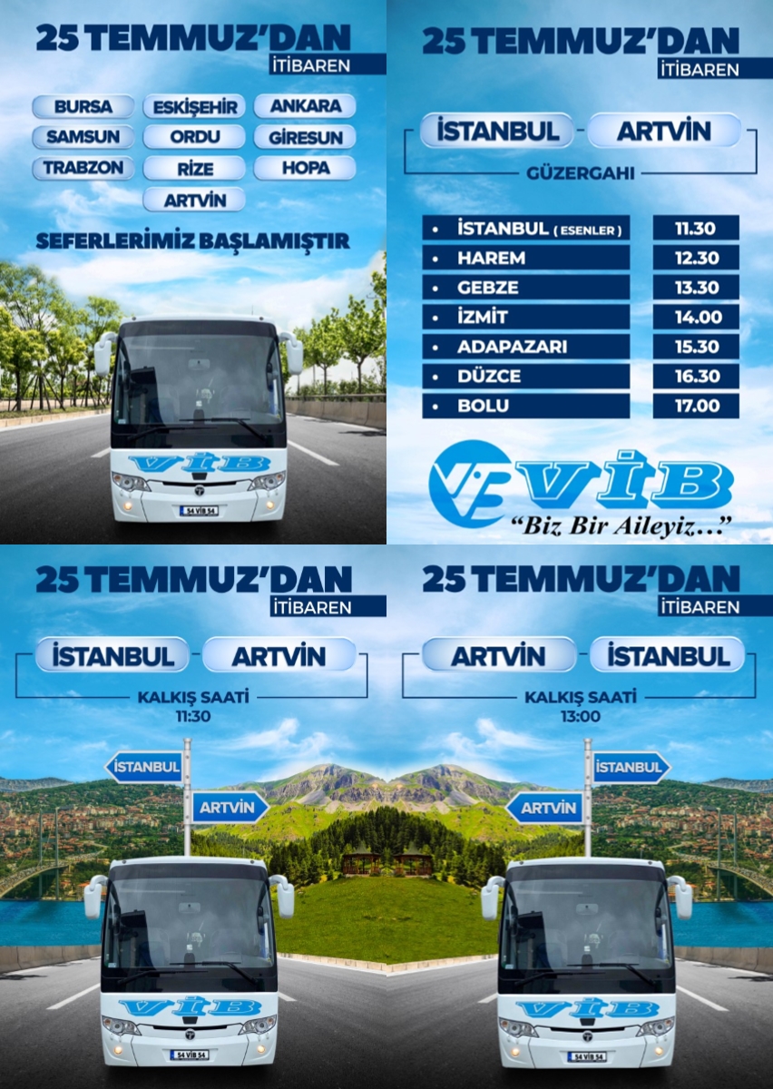 vib turizm bursa