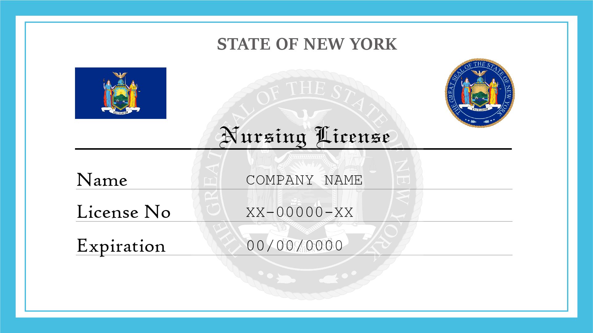 nys license verification