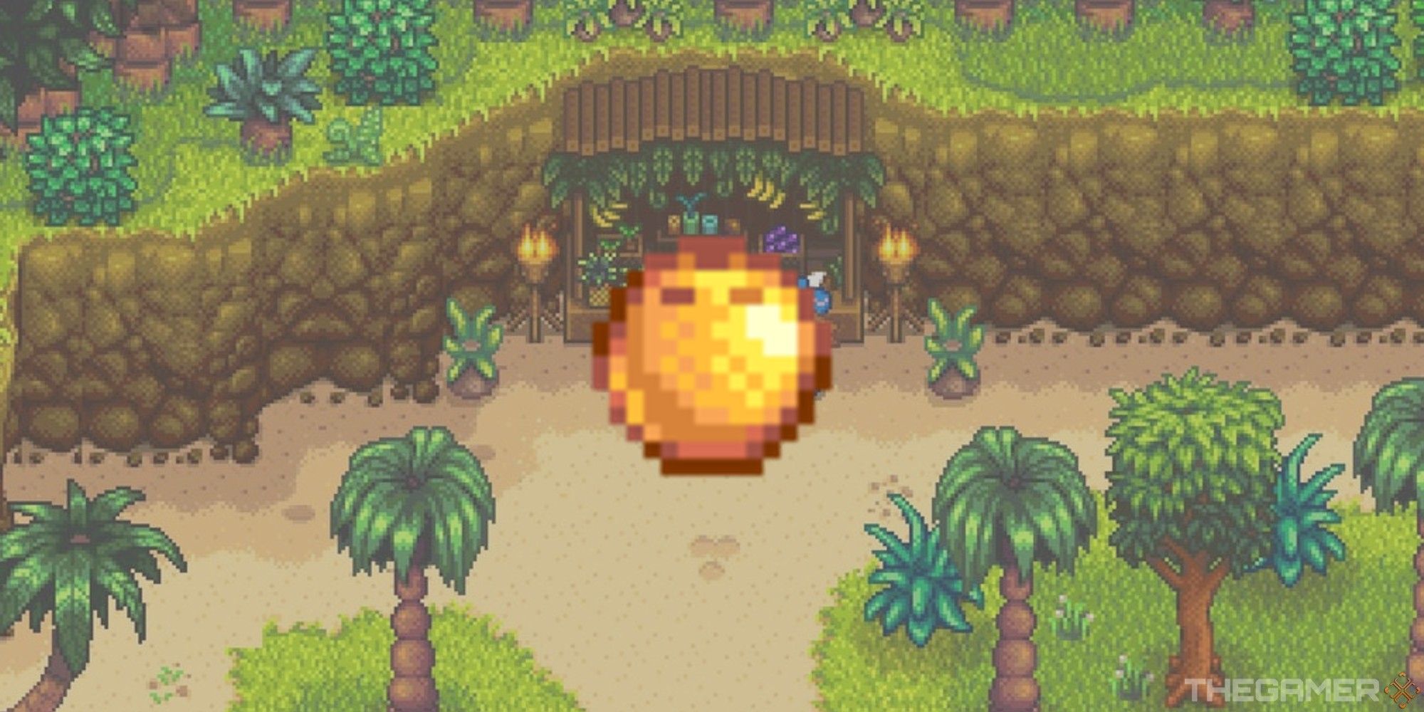 coconut stardew