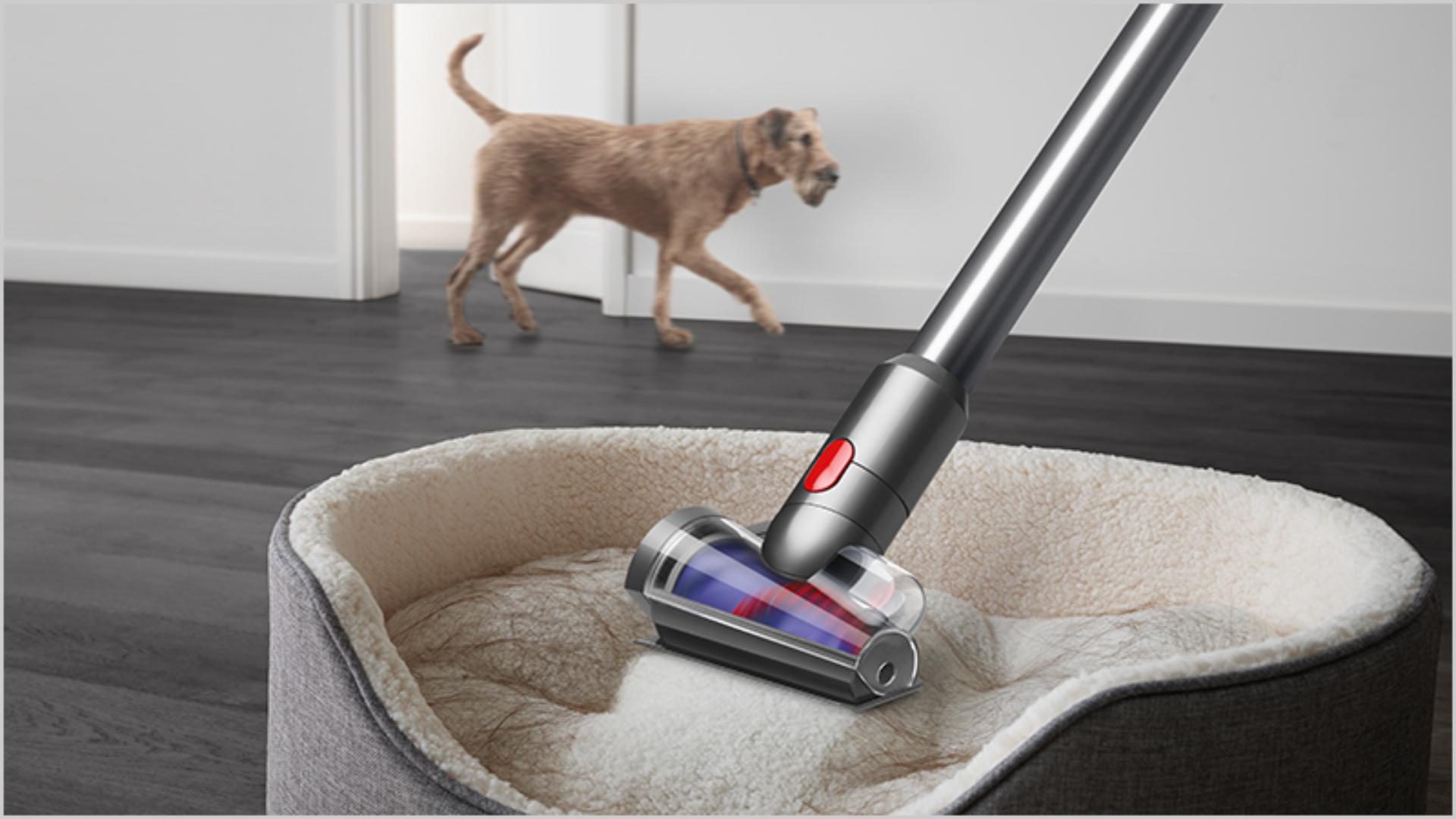 dyson detect