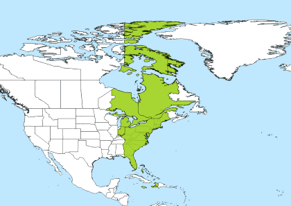 eastern standard time to pacific time