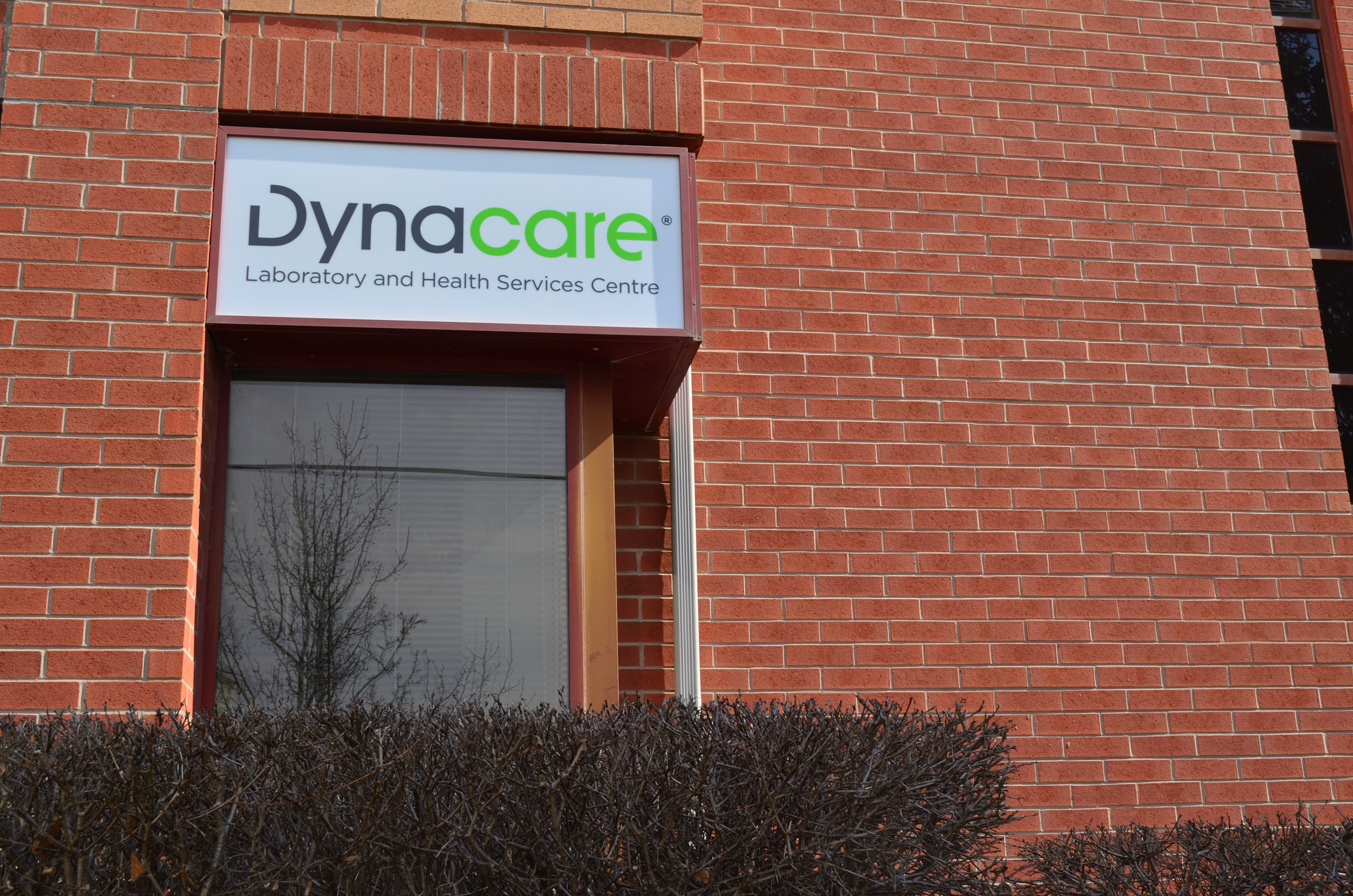 dyna care lab