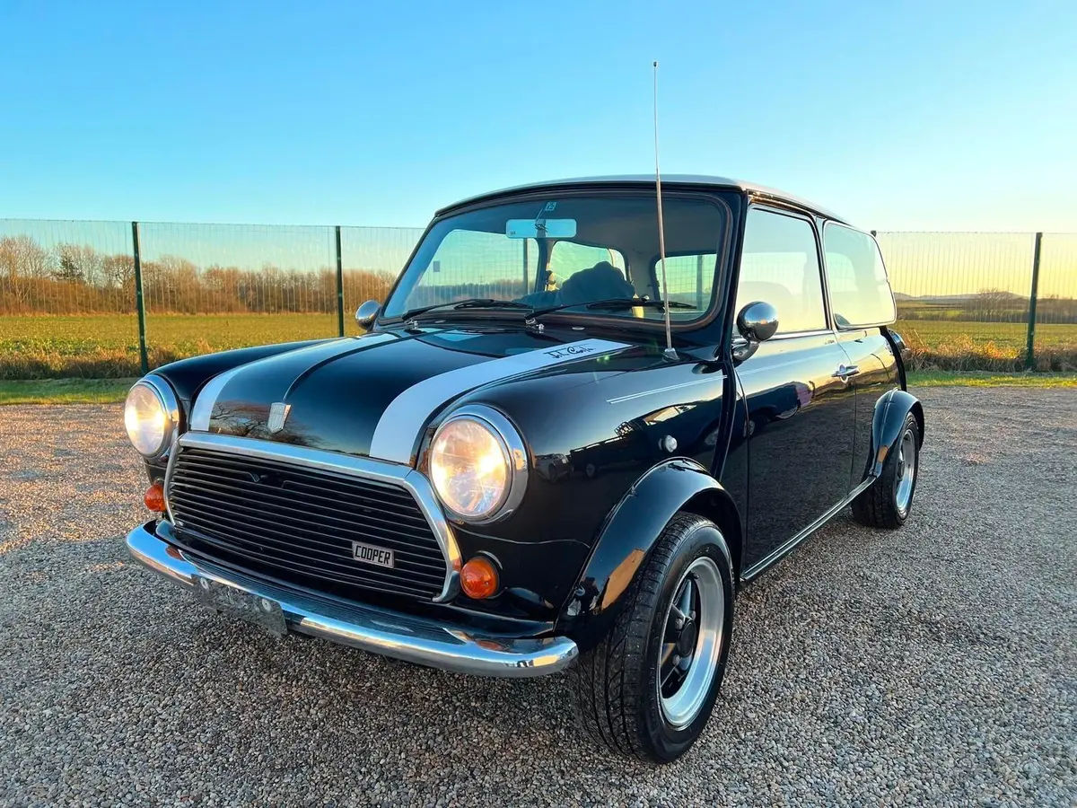 ebay classic mini