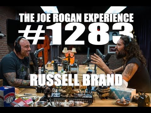 youtube joe rogan experience