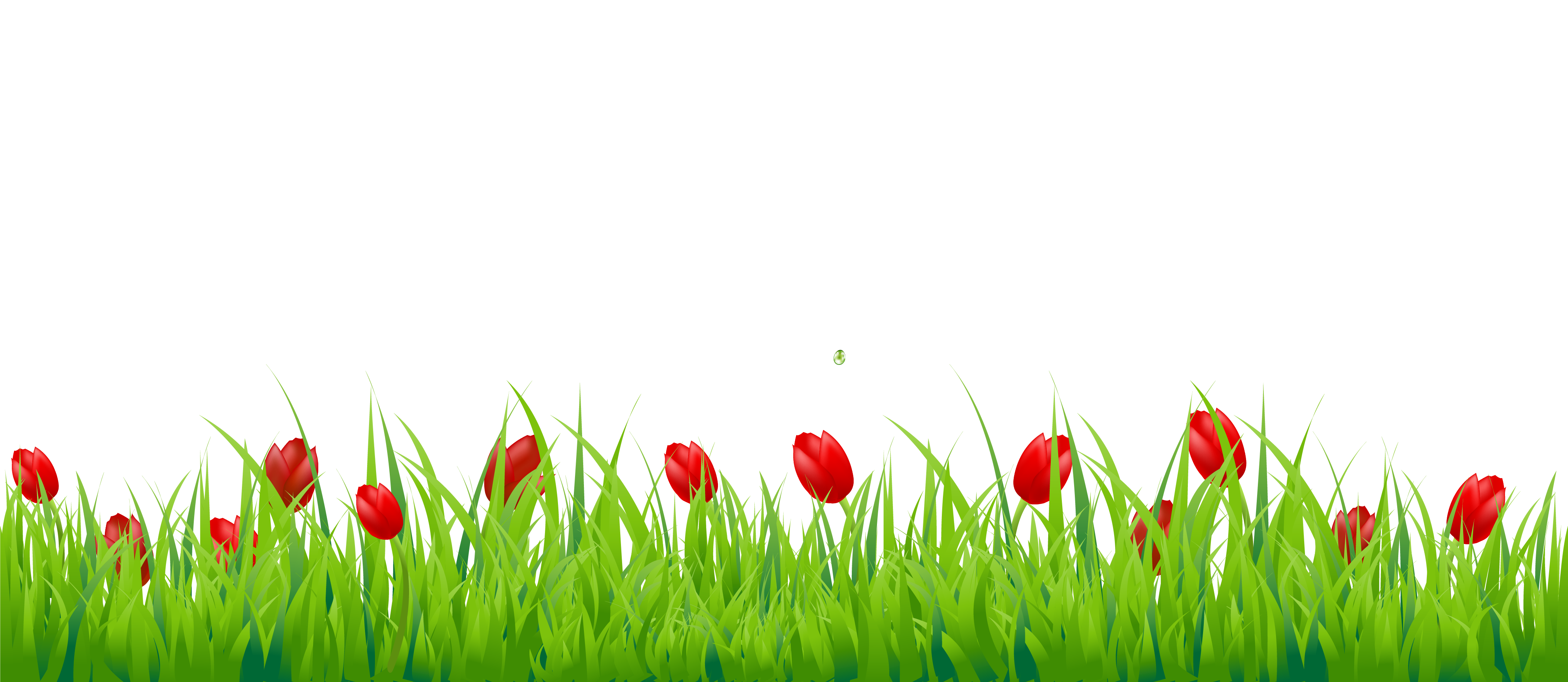 grass png hd