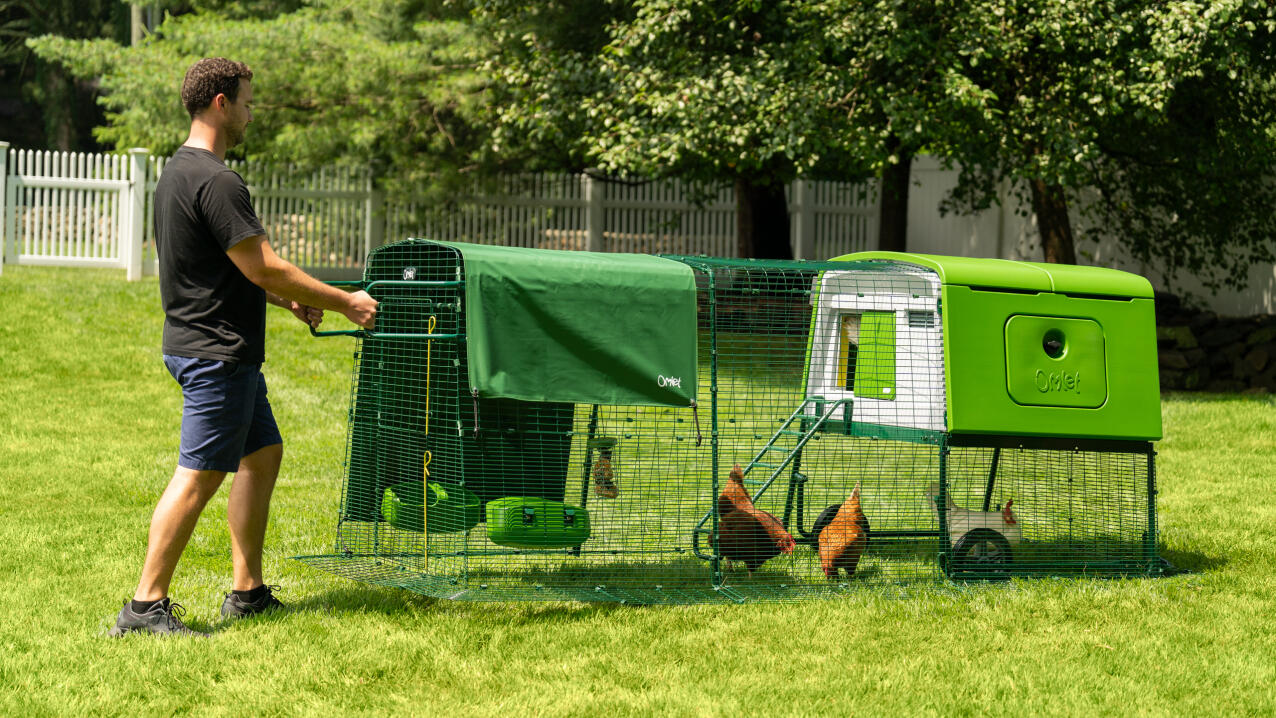 eglu cube chicken coop