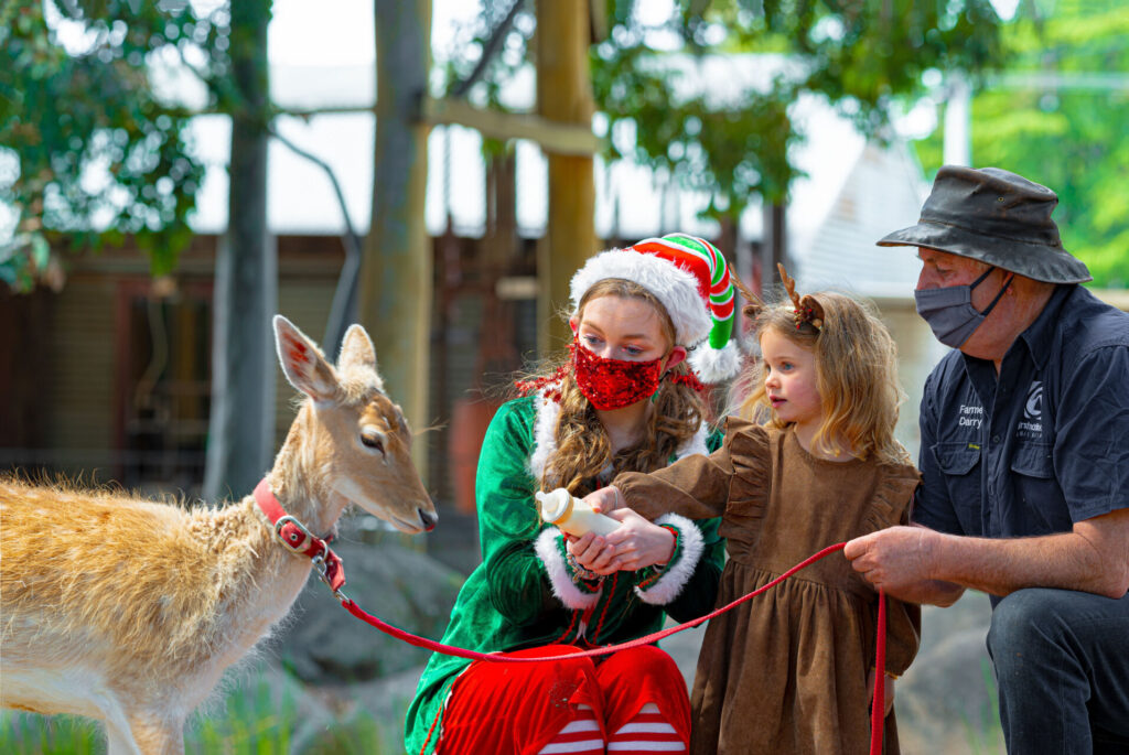 elf academy bendigo 2023