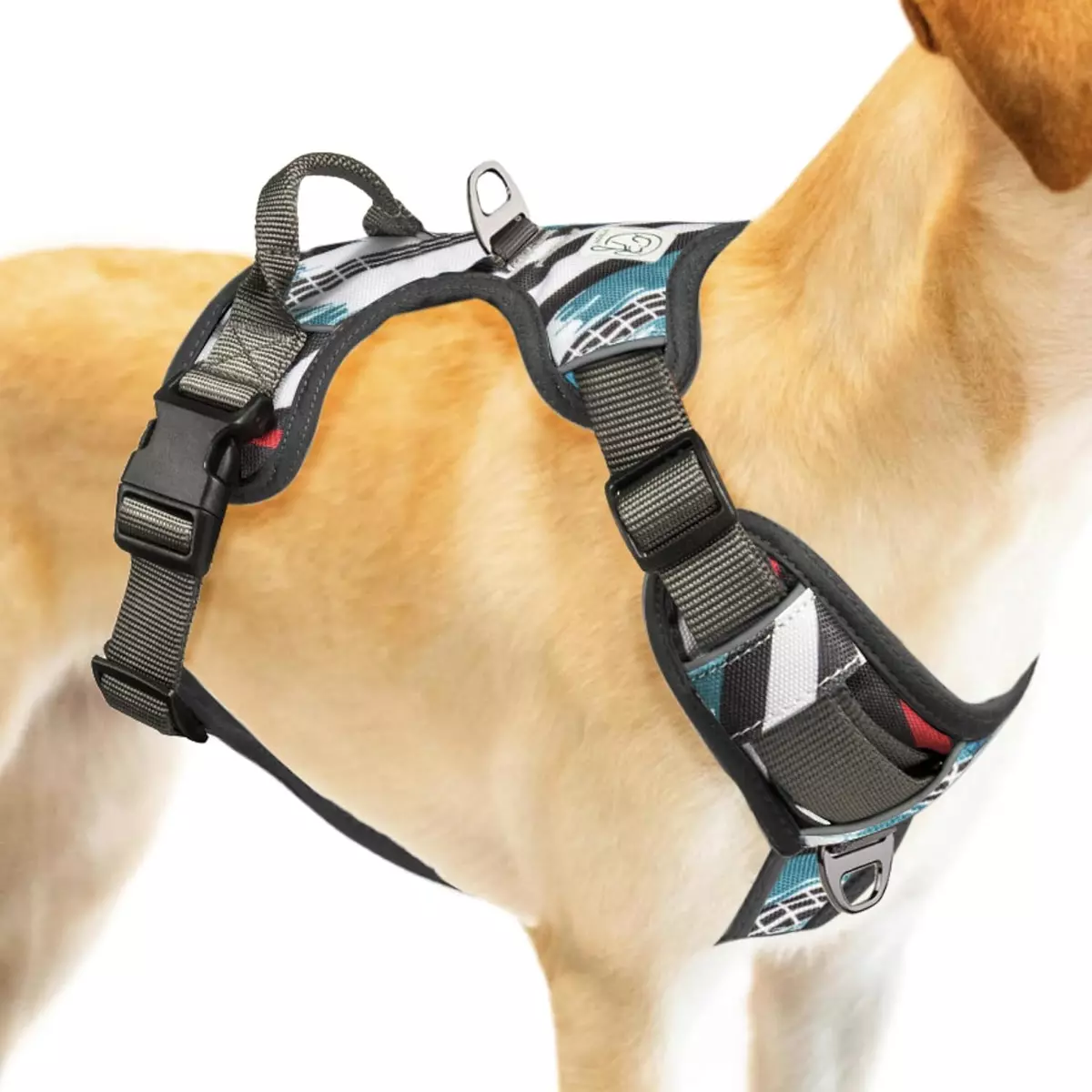 embark dog harness