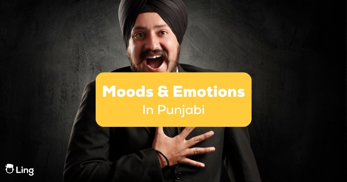 embarrassment meaning in punjabi