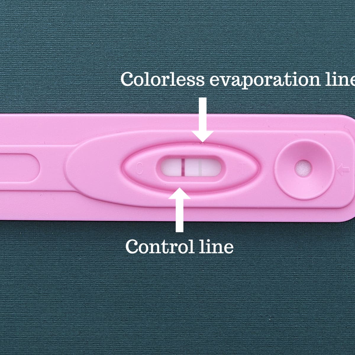 evap lines vs faint positive