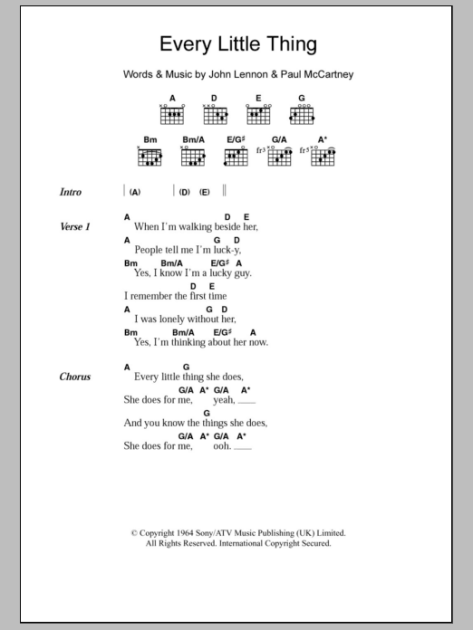 every little thing you wanted chords